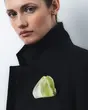 &nbsp;