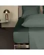 &nbsp;