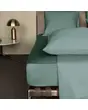 &nbsp;