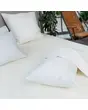 &nbsp;