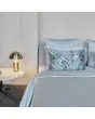 &nbsp;
