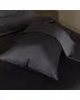 &nbsp;