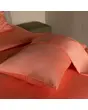 &nbsp;