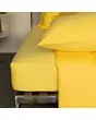 &nbsp;