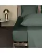 &nbsp;
