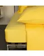 &nbsp;