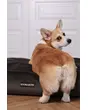 &nbsp;